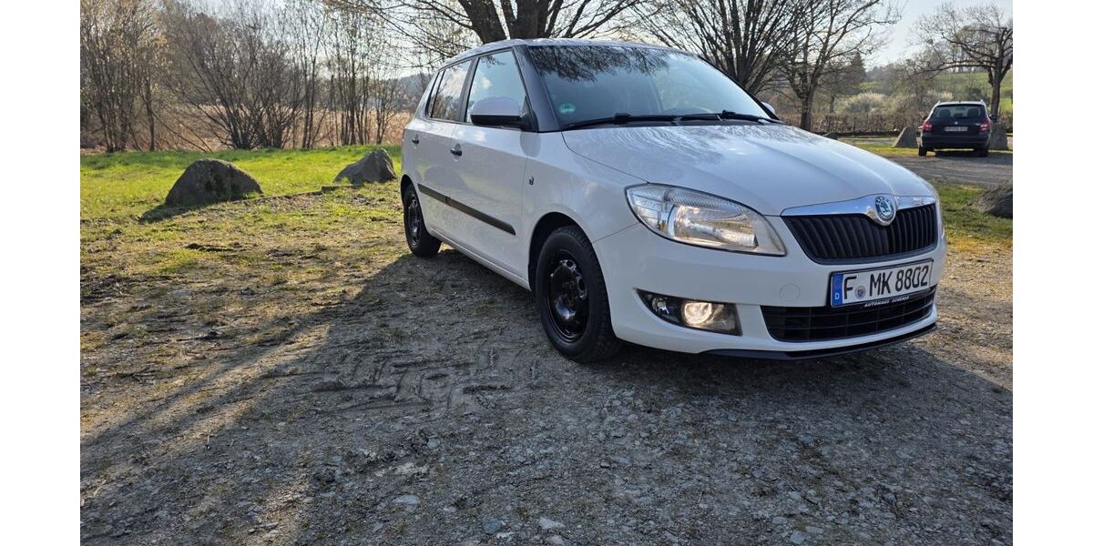 Skoda Fabia 229.014 km 1.799 &euro; Frankfurt 65929