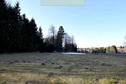 Grundstück Clausthal-Zellerfeld Zellerfeld - 35.000&euro; | Angebot:25532812