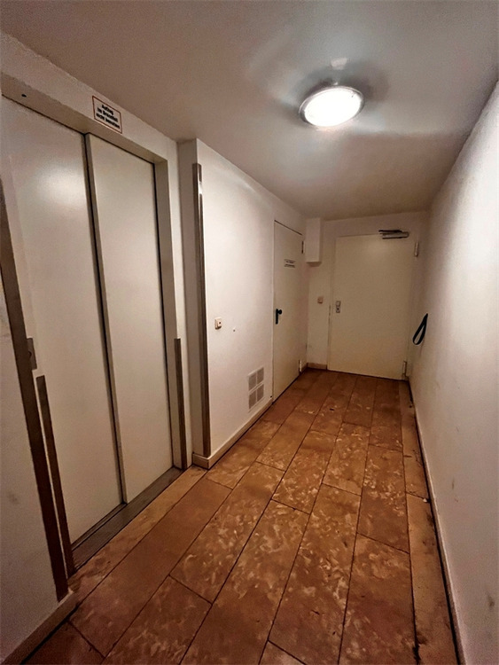 1,5-Zi. mit Dachterrasse über den Dächern von Alt-Lindenau 1 zimmer