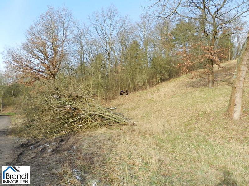 Baugrundstück für EFH oder DHH zimmer
