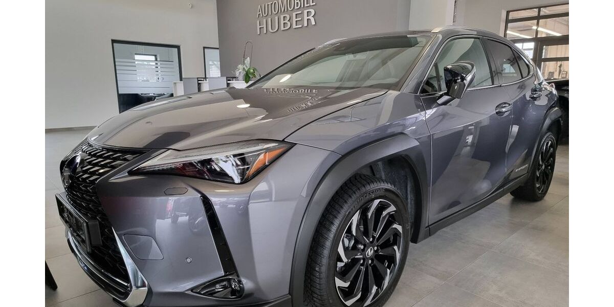Lexus UX 18.664 km 23.800 &euro; Nalbach 66809