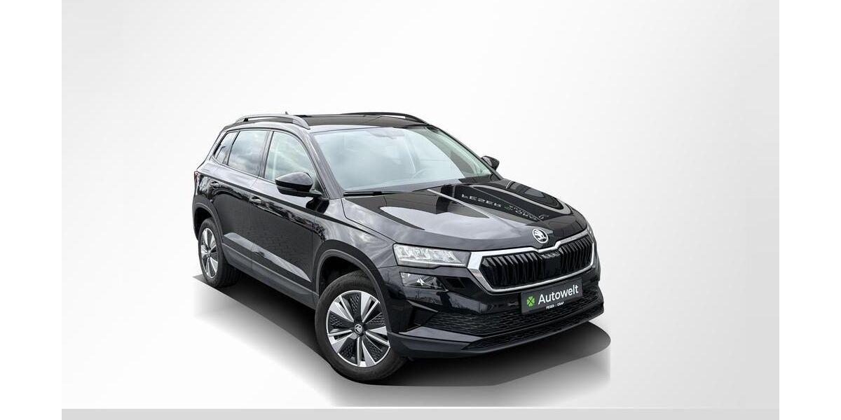 Skoda Karoq 94.200 km 19.890 &euro; Roth 91154