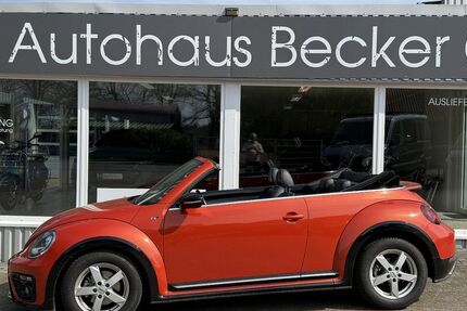 VW Beetle 65.000 km 27.950 &euro; Grasberg 28879