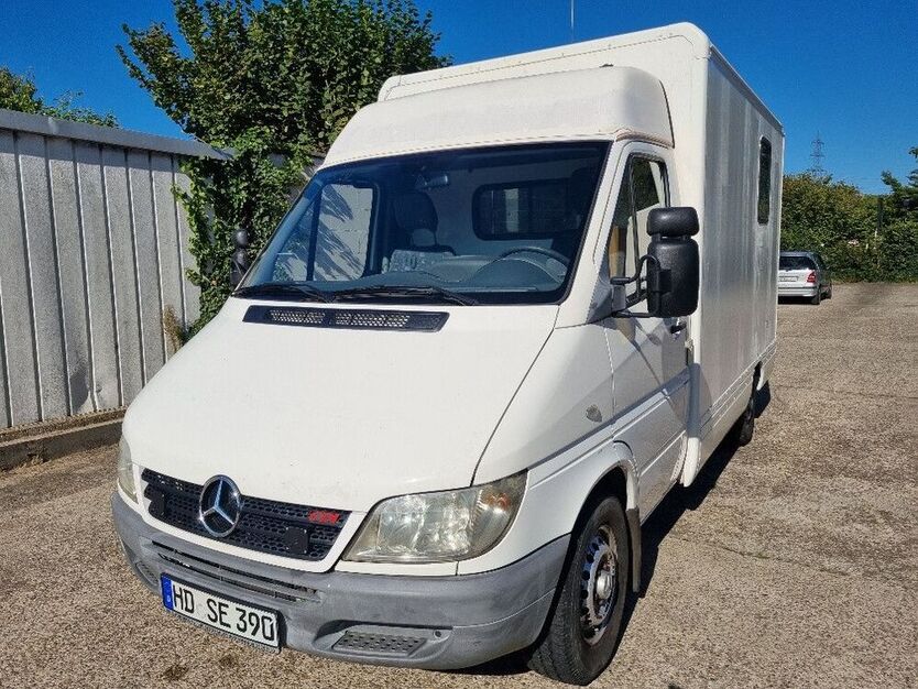Sprinter