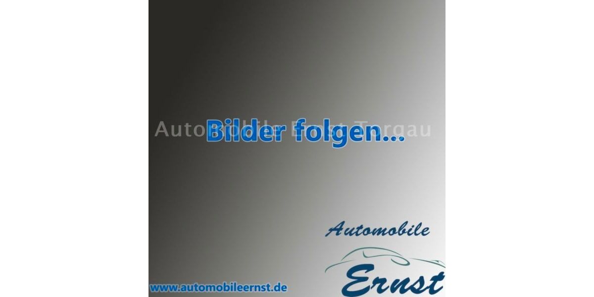Peugeot 1007 199.000 km 1.999 &euro; Torgau 04860