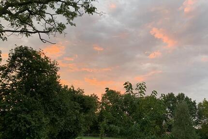 Wohnung Münster Berg Fidel - 5 Zimmer, 190 m&sup2;, 2.580&euro; | Angebot:25650439