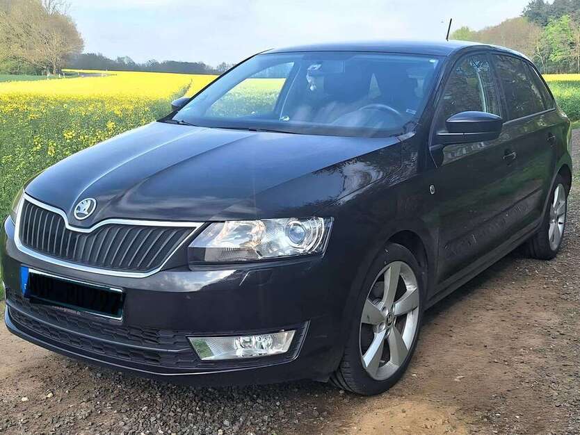 Rapid/Spaceback