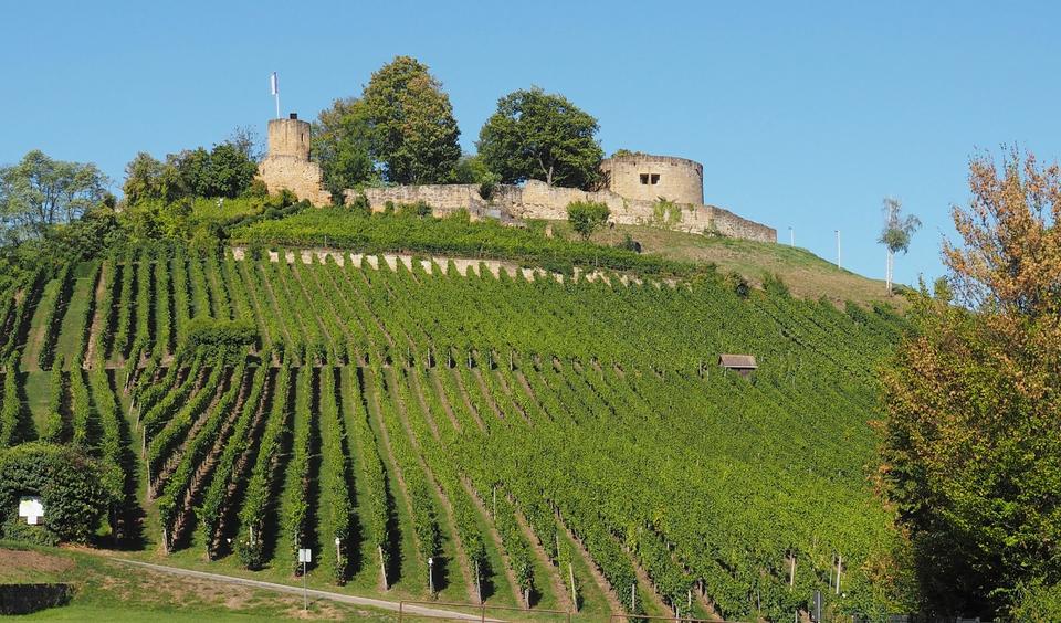Gemütliche Wohnung im Weinsberger Tal 2 zimmer