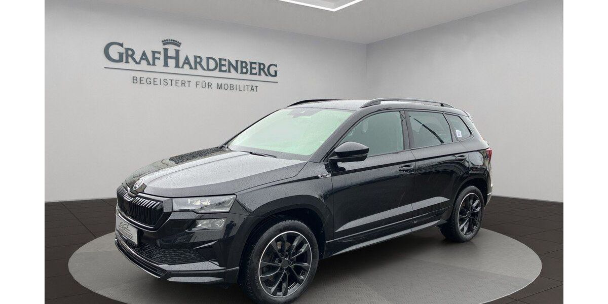 Skoda Karoq 99.200 km 27.510 &euro; Radolfzell 78315