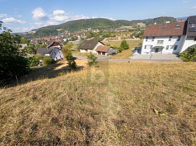 UNVERBAUBARE AUSSICHT IN BESTER HANGLAGE - Grundstück Waldshut-Tiengen Tiengen | Angebot:27305487
