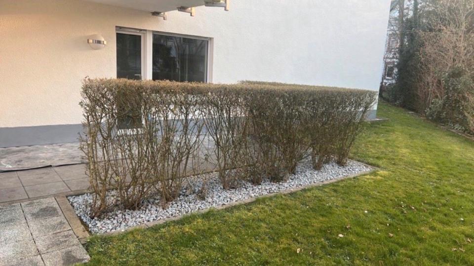 Etagenwohnung Weinheim - 3 Zimmer, 71 m&sup2;, 279.000&euro; | Angebot:27085454