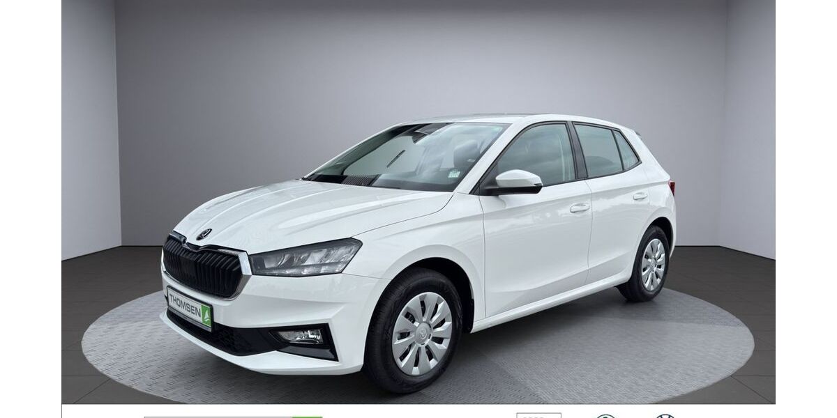 Skoda Fabia 1.100 km 17.990 &euro; Kropp 24848