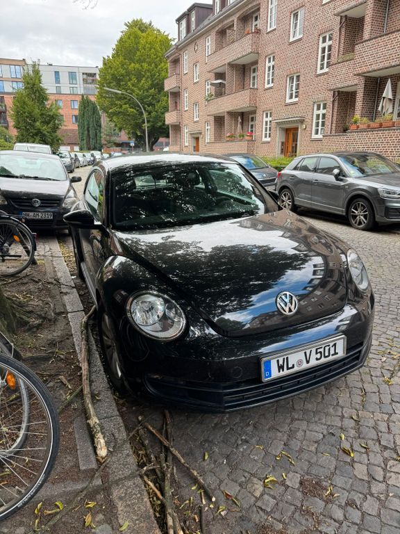 Beetle