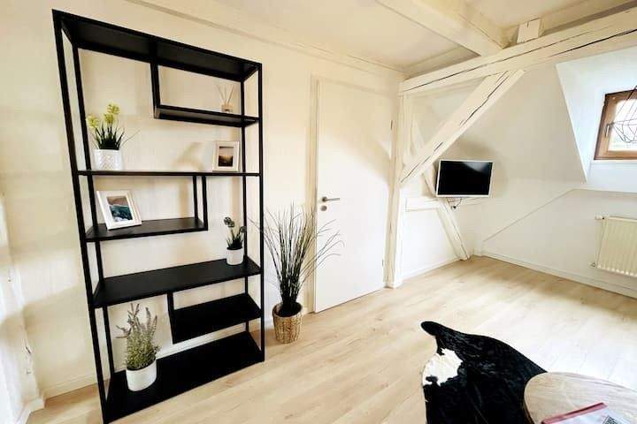 Mehrfamilienhaus, Wohnhaus Zwickau Innenstadt - 2 Zimmer, 1.100.000&euro; | Angebot:25769095