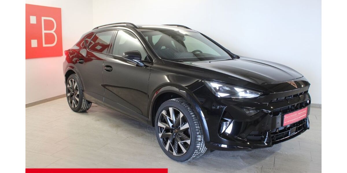 Cupra Formentor 1.001 km 44.980 &euro; Schopfloch 91626