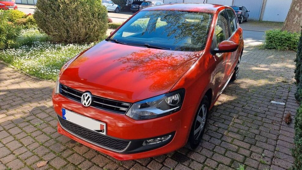 Polo