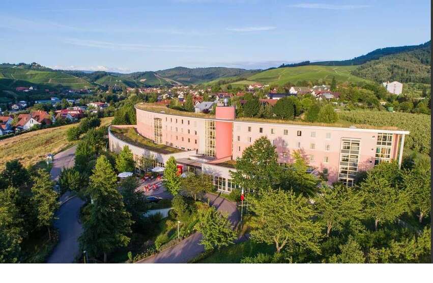 Wohnung zum Mieten in Durbach 750 € 42 m²