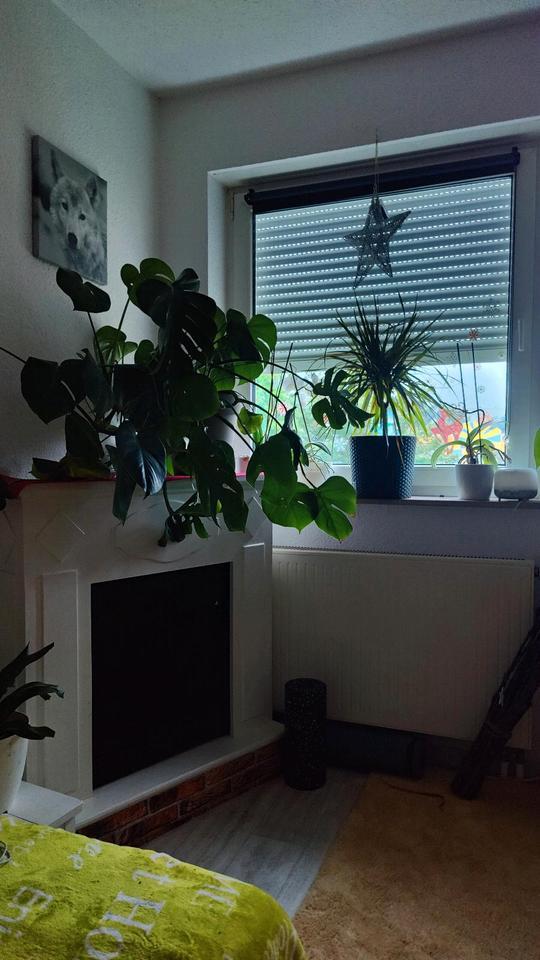 Nachmieter große 2 Zimmer Wohnung