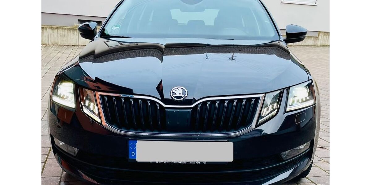 Skoda Octavia 140.000 km 18.300 &euro; Großostheim 63762