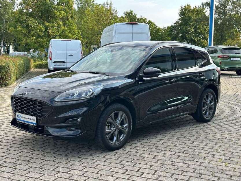 Kuga