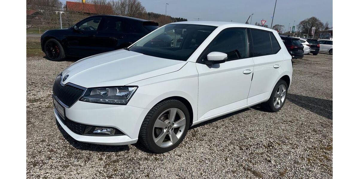 Skoda Fabia 20.115 km 11.980 &euro; Pforzen 87666