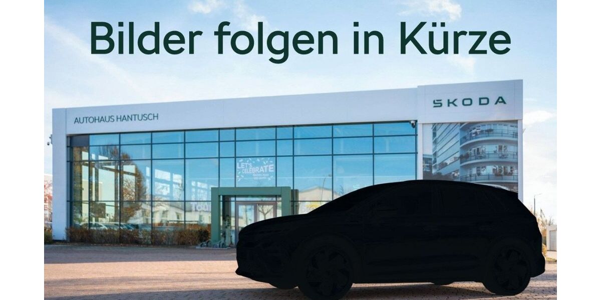 Skoda Kamiq 50.700 km 18.490 &euro; Bischofswerda 01877
