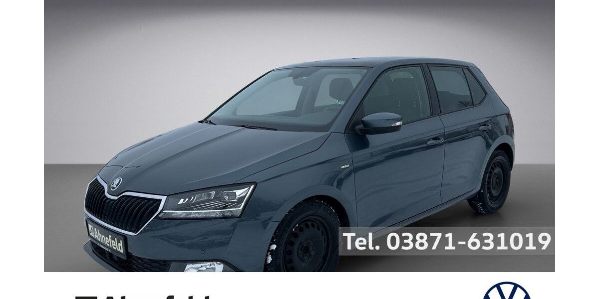 Skoda Fabia 69.600 km 16.950 &euro; Parchim 19370