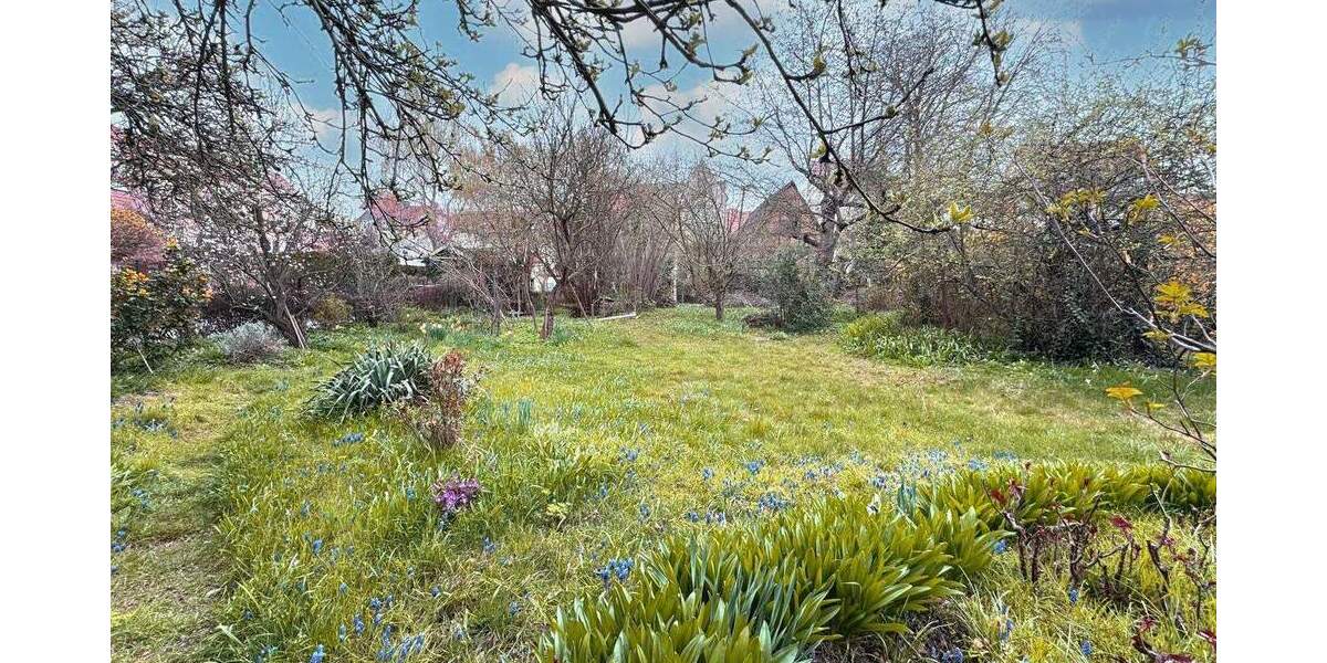 Gewerbeobjekt Borna - 1 Zimmer, 198.000&euro; | Angebot:24451672