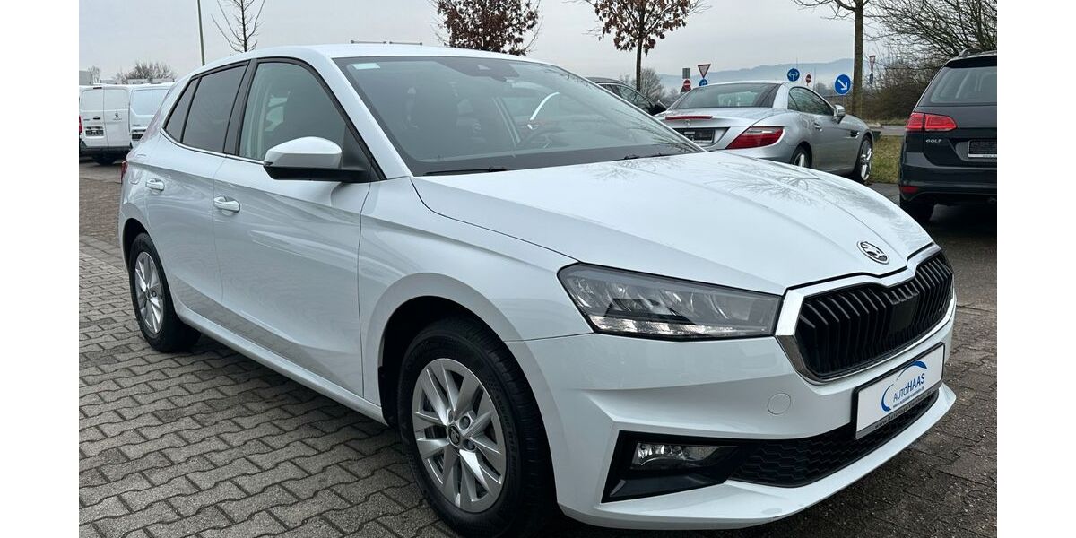 Skoda Fabia 19.600 km 18.990 &euro; Viernheim 68519