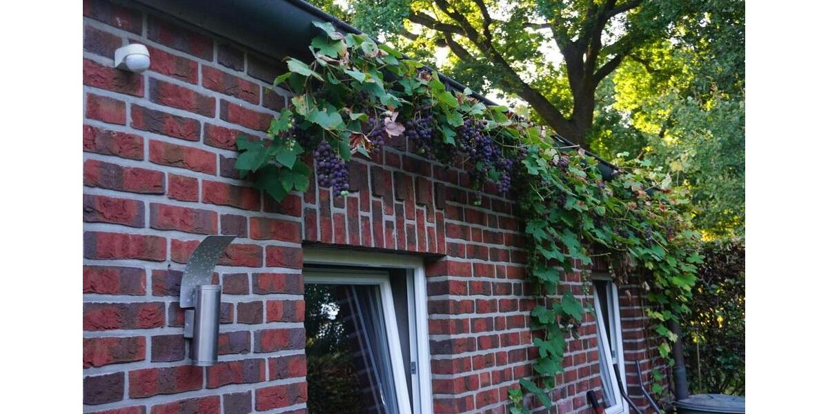 Einfamilienhaus Hude (Oldenburg) - 585.000&euro; | Angebot:25300490