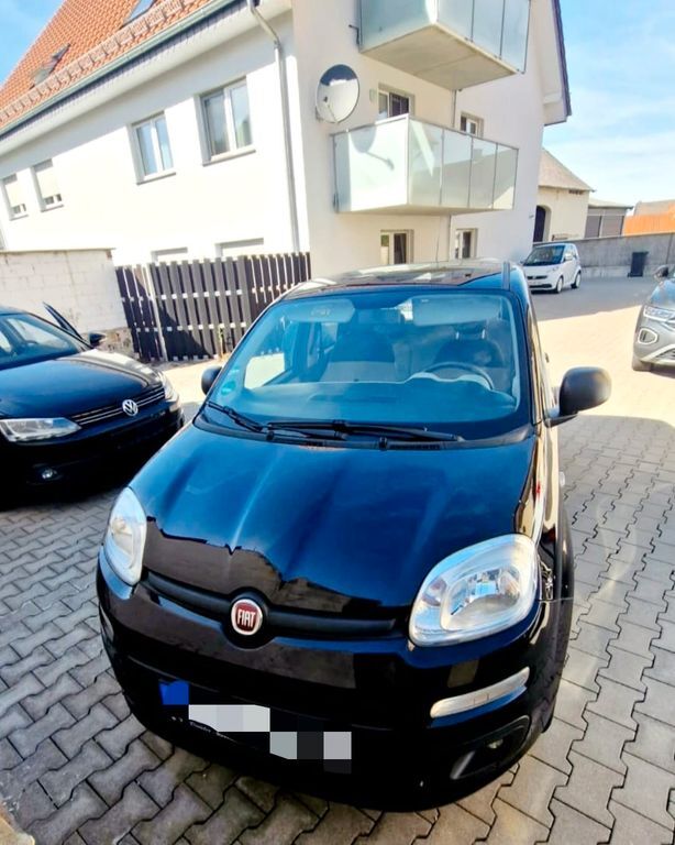 Panda