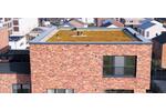 Einfamilienhaus Hamburg Harburg - 3 Zimmer, 116 m&sup2;, 1.890&euro; | Angebot:26679504