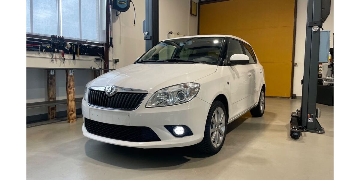 Skoda Fabia 136.223 km 6.000 &euro; Delmenhorst 27749