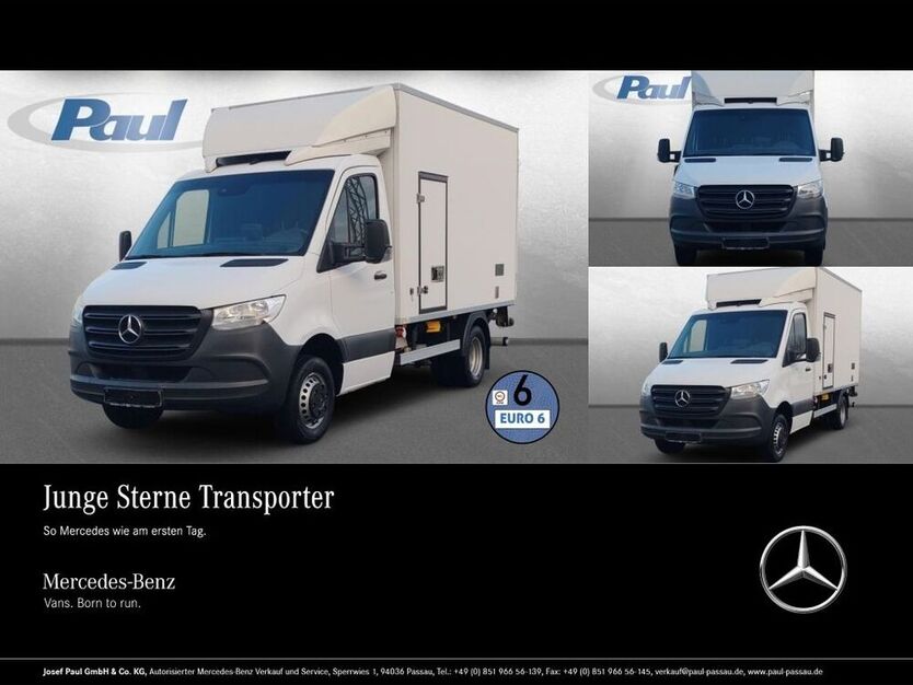 Sprinter