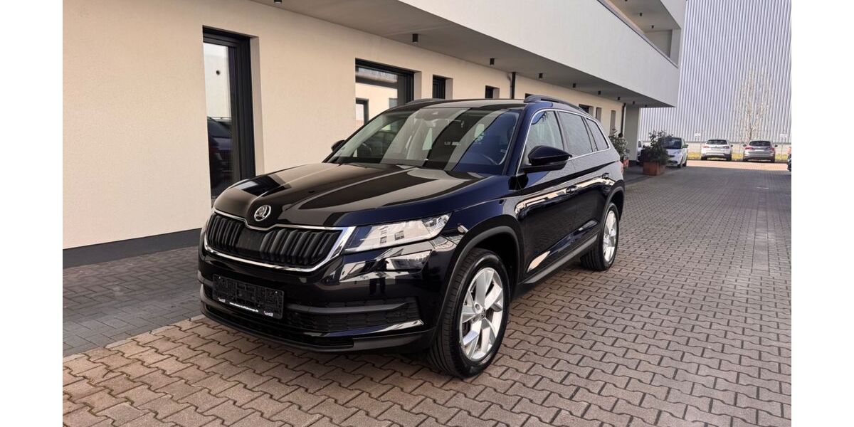 Skoda Kodiaq 134.000 km 23.900 &euro; Worms 67547