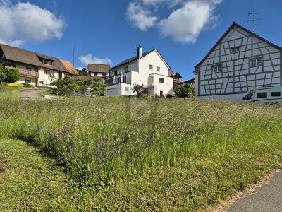 SONNENVERWÖHNTES BAULAND NAHE DEM BODENSEE - Grundstück Allensbach | Angebot:26884785