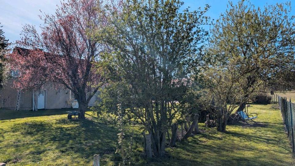 Einfamilienhaus Mirow - 350.000&euro; | Angebot:26302357