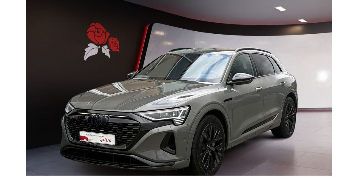 Audi Q8 e-tron 30.933 km 54.250 &euro; Villingen-Schwenningen 78052