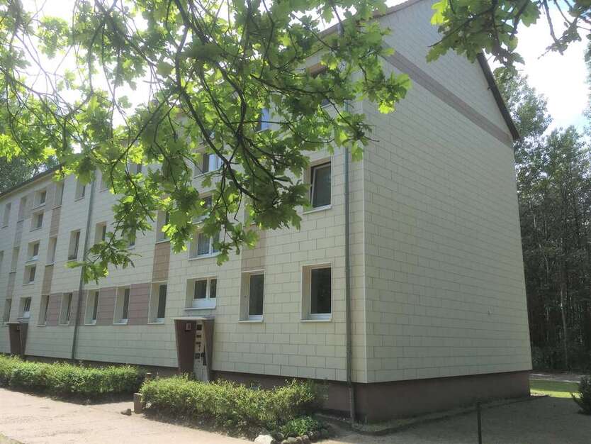 Renovierte 4 Zimmer Wohnung mit EBK in der Waldsiedlung 4 zimmer