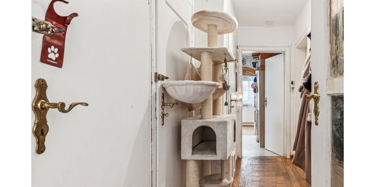 Charmantes Einfamilienhaus mit Potenzial: renovierungsbedürftig, aber sofort bewohnbar in Friedberg - Einfamilienhaus Friedberg | Angebot:25392907