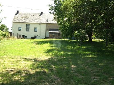 HANDWERKERPERLE, FAMILIENGERECHT,LOFT CHARAKTER - Einfamilienhaus Morbach | Angebot:26373613