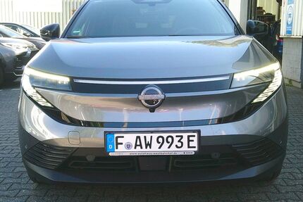 Nissan Leaf 1.001 km 42.990 &euro; Frankfurt 60486