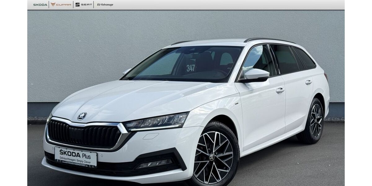 Skoda Octavia 81.010 km 22.980 &euro; Castrop-Rauxel 44579