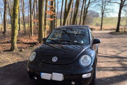 VW New Beetle 69.000 km 3.222 &euro; Hohwacht 24321