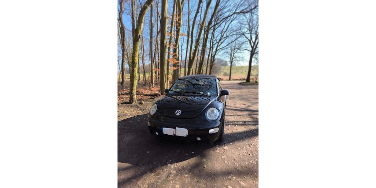 VW New Beetle 69.000 km 3.222 &euro; Hohwacht 24321