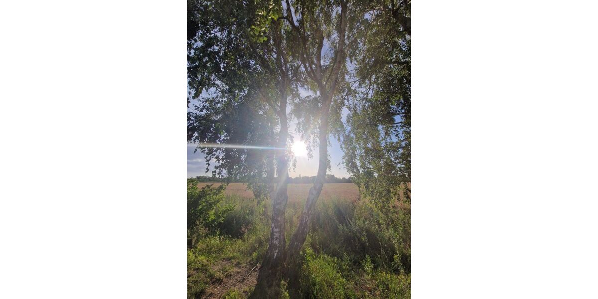 Sonniges Penthouse - Green View - Villenensemble -Weißensee - 4 Balkone 3 zimmer