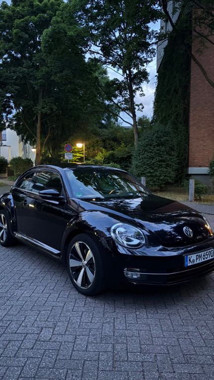 Beetle
