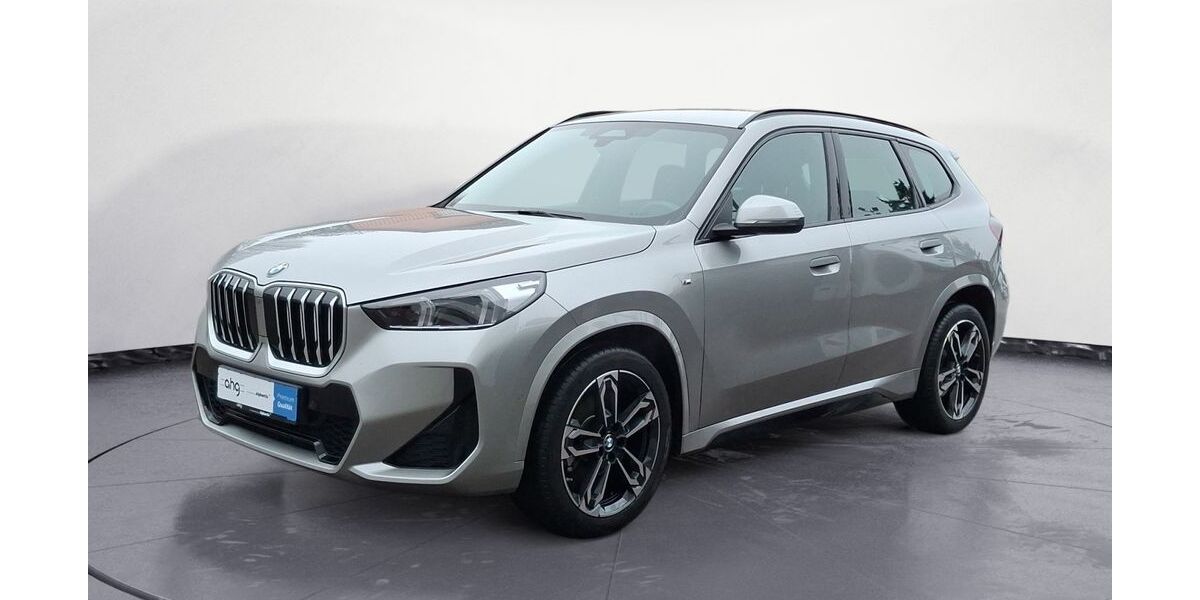 BMW X1 32.018 km 39.850 &euro; Lahr 77933