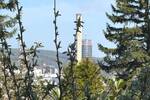 Grundstück Jena Ammerbach - 79.000&euro; | Angebot:26475123