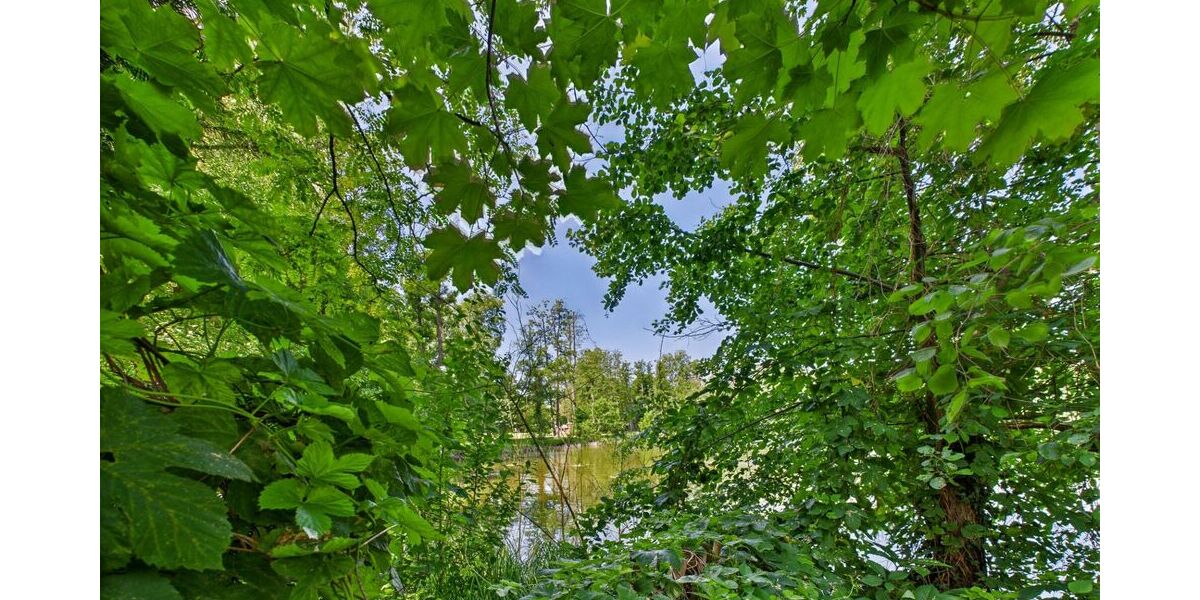 Wochenendgrundstück mit direktem Seezugang - am Elsensee in Grünheide (Mark) - Bungalow Grünheide (Mark) | Angebot:21717230
